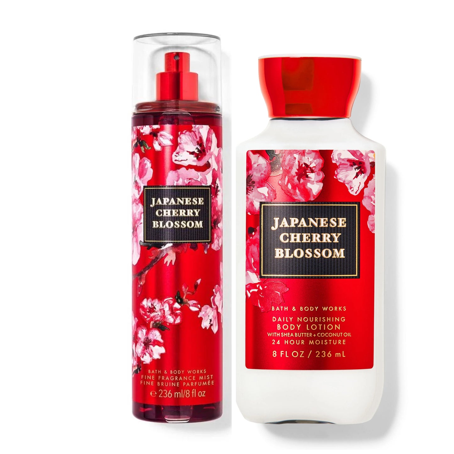 Japanese Cherry Blossom