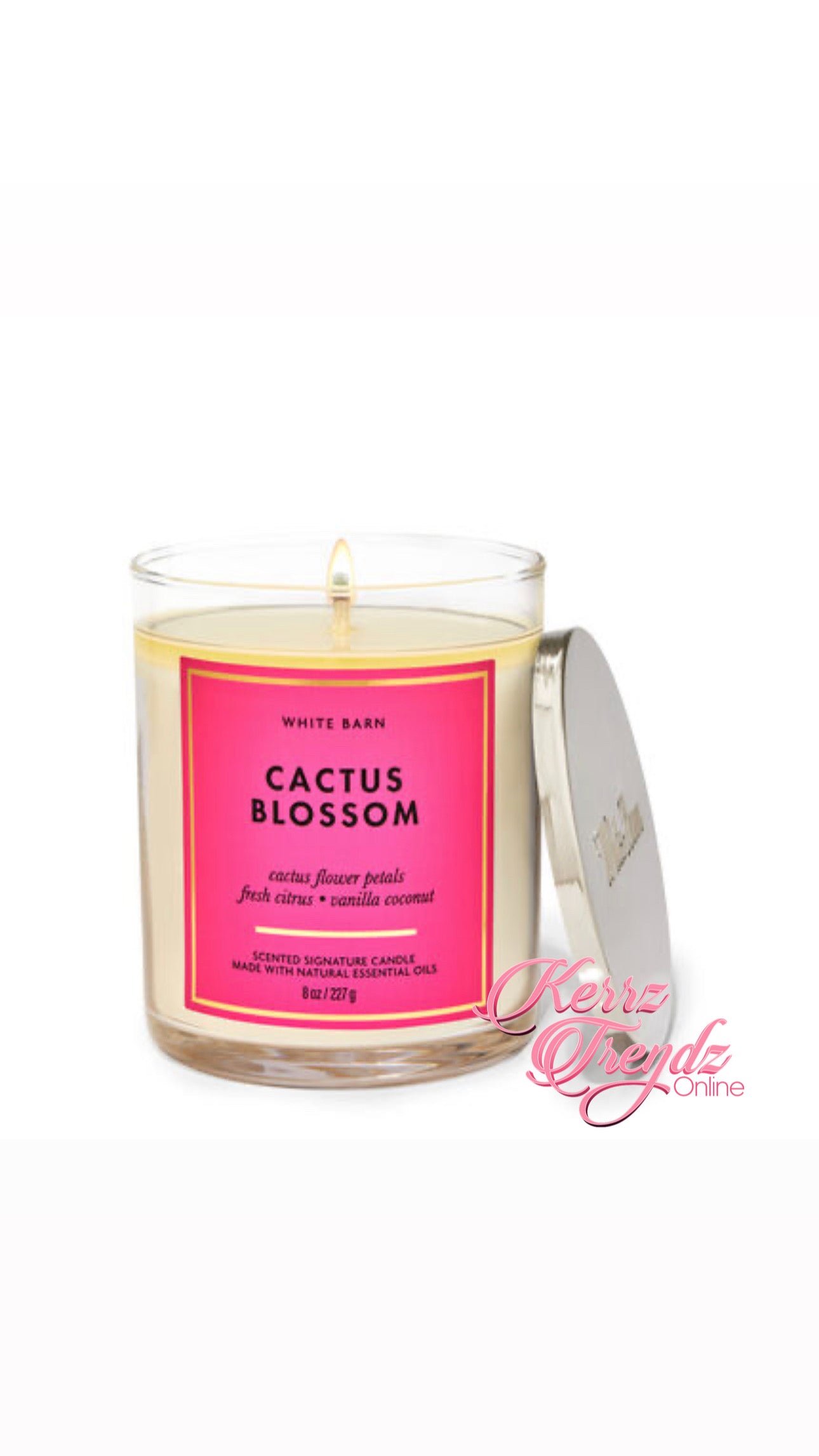 Cactus Blossom Single Wick