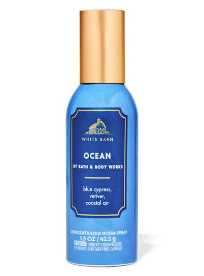 Ocean Room Spray